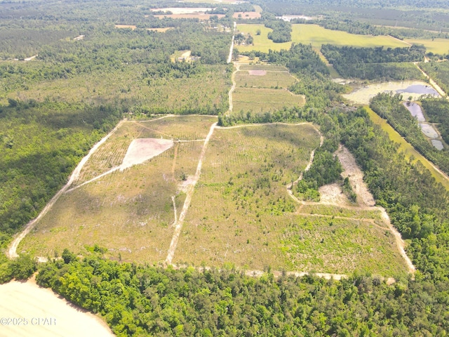 00 Sinai Rd, Sneads, FL 32460