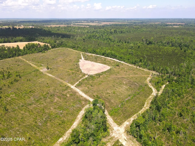00 Sinai Rd, Sneads, FL 32460