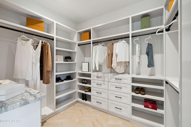 view of walk in closet