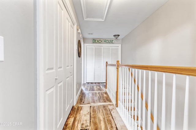 corridor featuring hardwood / wood-style floors and visible vents