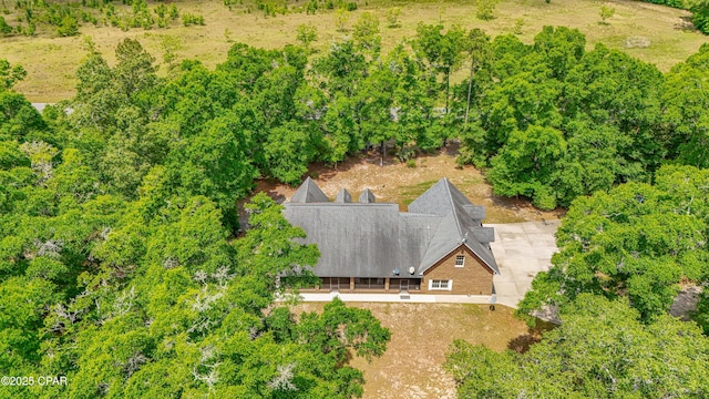 drone / aerial view