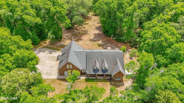 bird's eye view