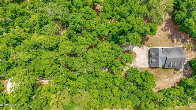 aerial view