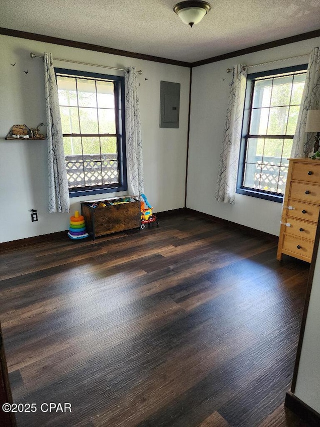 unfurnished room featuring plenty of natural light, a textured ceiling, electric panel, and dark wood finished floors