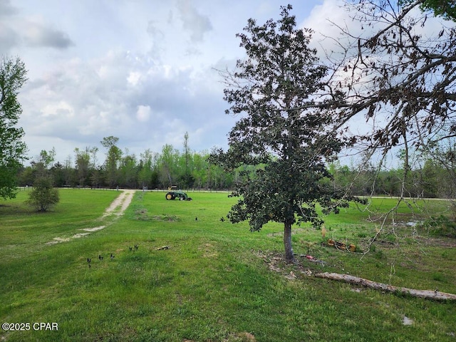 view of yard featuring a rural view
