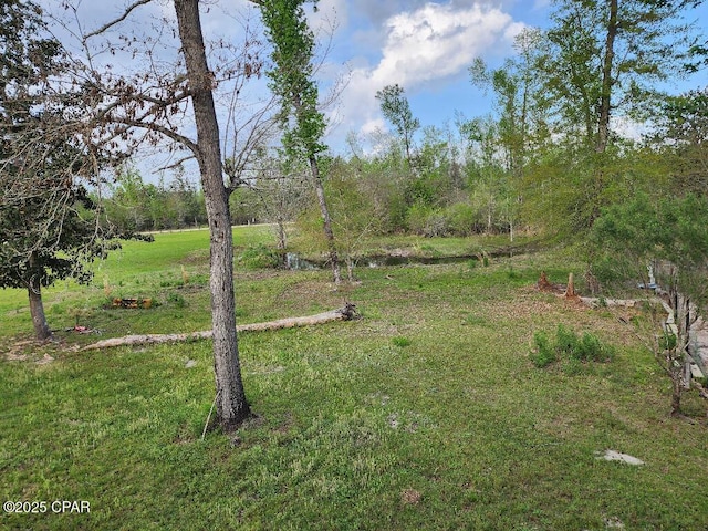 14235 NW Henry Grantham Rd, Altha, FL 32421 - view of yard