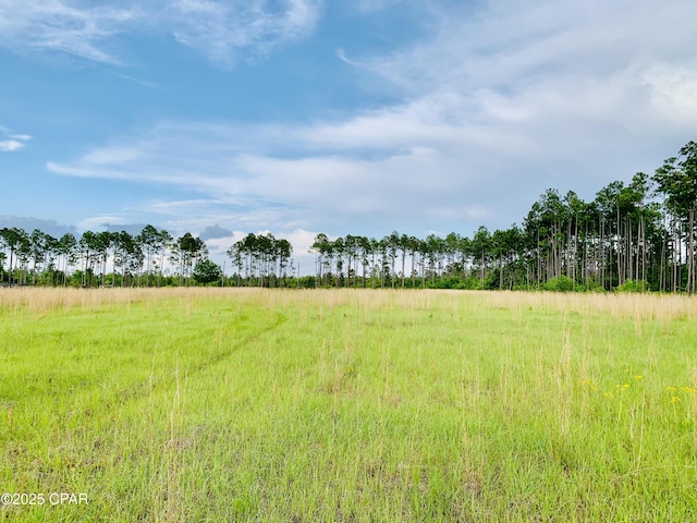 16711 Roll O Home Rd, Fountain, FL 32438