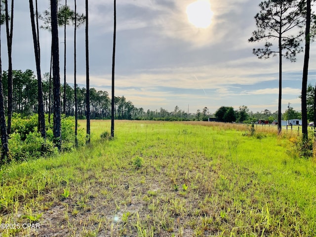 16711 Roll O Home Rd, Fountain, FL 32438