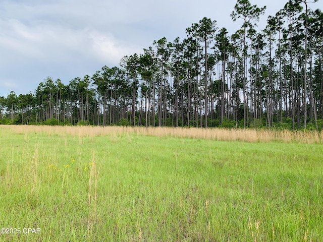16711 Roll O Home Rd, Fountain, FL 32438