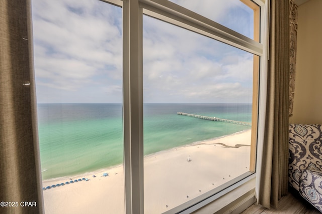 water view featuring a beach view
