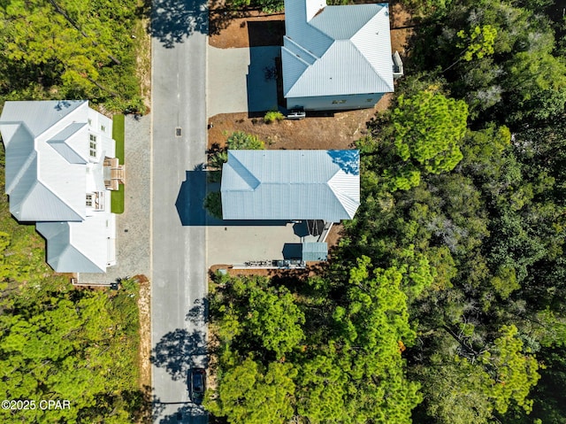 345 Redbud Ln, Inlet Beach, FL 32461 - aerial view