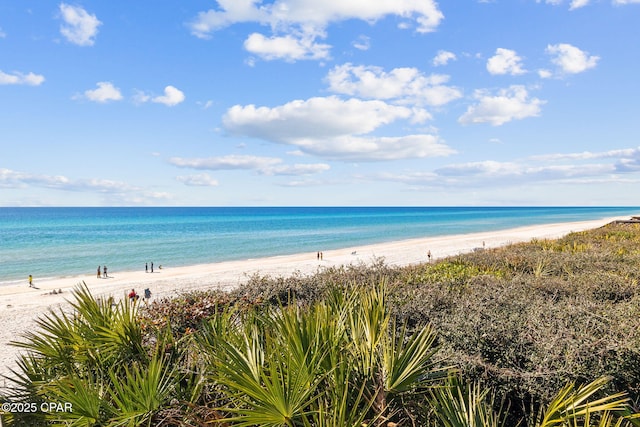 345 Redbud Ln, Inlet Beach, FL 32461 - water view with nearby beach