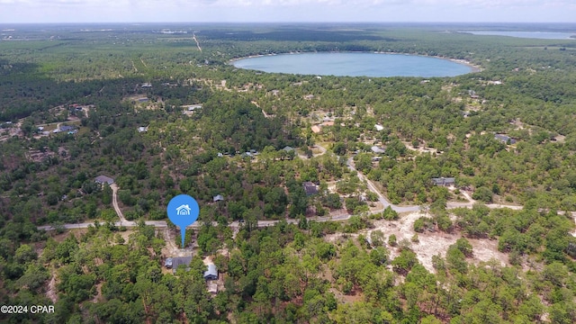 bird's eye view with a water view and a view of trees