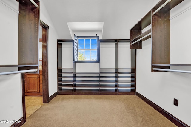 8508 S Holland Rd, Southport, FL 32409 - walk in closet with light colored carpet