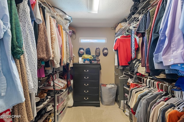 3543 Brentwood Pl, Panama City, FL 32404 - walk in closet featuring carpet