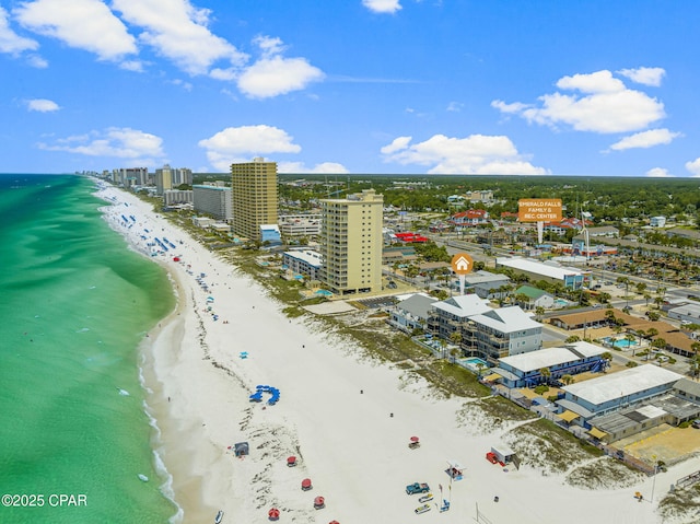 aerial view of unending shoreline
