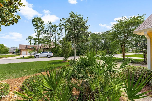 view of grassy yard