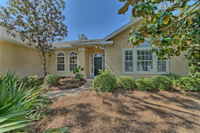 entrance to property featuring stucco siding