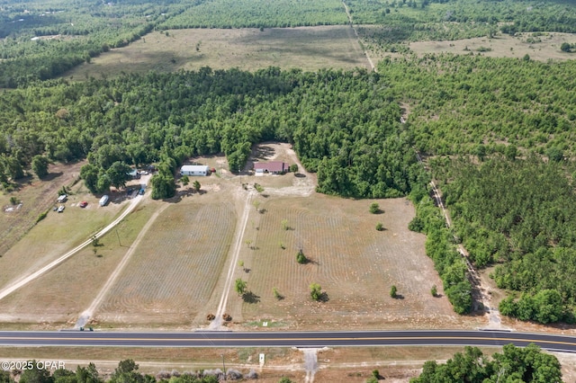10367 NW County Road 274, Altha, FL 32421 - view of property location featuring rural landscape and a forest