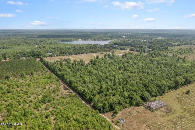 10367 NW County Road 274, Altha, FL 32421 - aerial view of a heavily wooded area and a large body of water