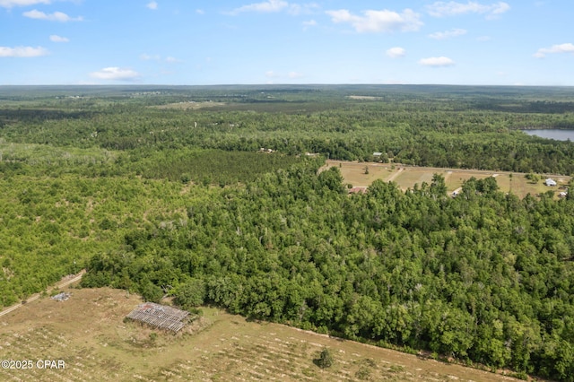 10367 NW County Road 274, Altha, FL 32421 - drone / aerial view of a heavily wooded area