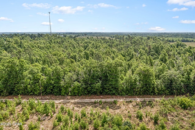 10367 NW County Road 274, Altha, FL 32421 - drone / aerial view of a heavily wooded area