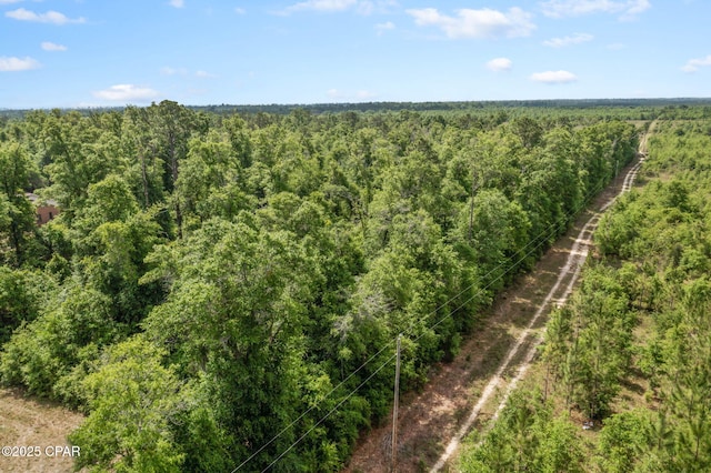 10367 NW County Road 274, Altha, FL 32421 - bird's eye view of a forest