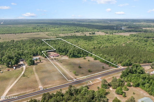 10367 NW County Road 274, Altha, FL 32421 - view of rural area featuring a heavily wooded area and property parcel outlined