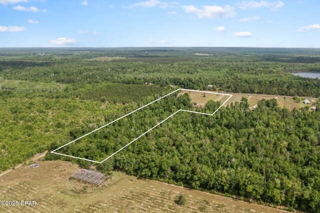 10367 NW County Road 274, Altha, FL 32421 - aerial view of property's location with a forest and property boundaries highlighted