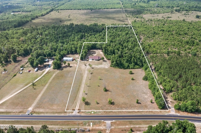10367 NW County Road 274, Altha, FL 32421 - overview of rural landscape featuring property boundaries highlighted and a heavily wooded area