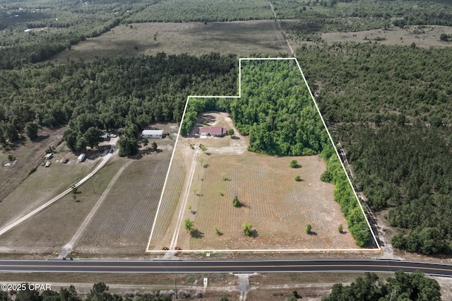 10367 NW County Road 274, Altha, FL 32421 - view of rural area featuring property parcel outlined, a heavily wooded area, and farmland