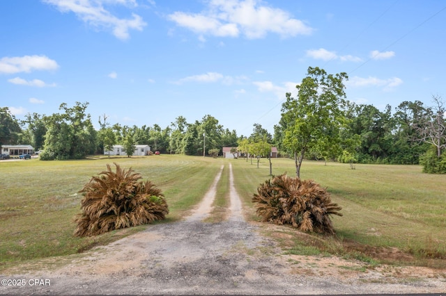 10367 NW County Road 274, Altha, FL 32421 - view of dirt / gravel road with view of wooded area