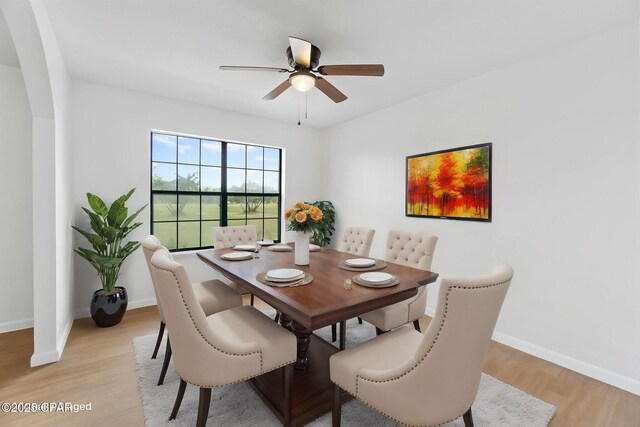 10367 NW County Road 274, Altha, FL 32421 - dining room with arched walkways, a ceiling fan, light wood-type flooring, and baseboards