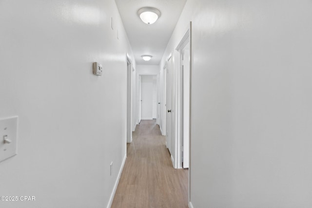 10367 NW County Road 274, Altha, FL 32421 - corridor featuring light wood-style floors and baseboards