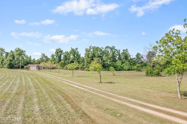 10367 NW County Road 274, Altha, FL 32421 - view of green lawn