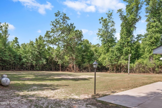 10367 NW County Road 274, Altha, FL 32421 - view of grassy yard featuring a forest view