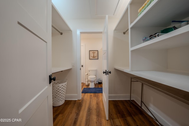 spacious closet with dark wood-style flooring