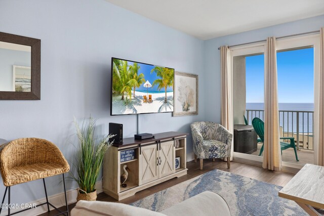 9860 S Thomas Dr Unit 1824, Panama City Beach, FL 32408 - living room with wood finished floors and baseboards