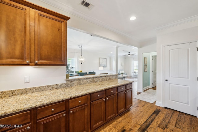 13 St. Vincent Lane, Inlet Beach, FL 32461 - kitchen featuring dark wood-style flooring, a peninsula, crown molding, light stone countertops, and open floor plan