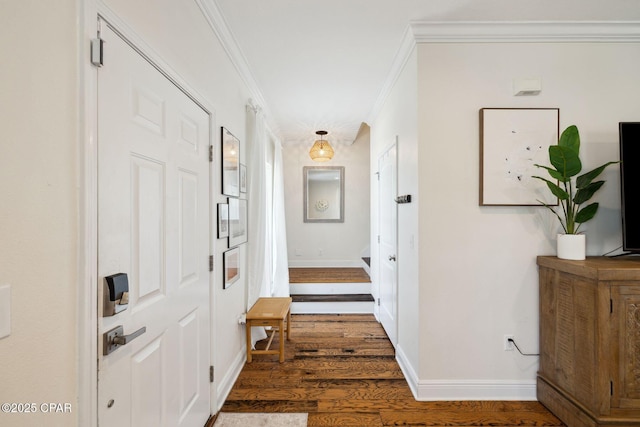 13 St. Vincent Lane, Inlet Beach, FL 32461 - hall featuring ornamental molding and dark wood-style floors