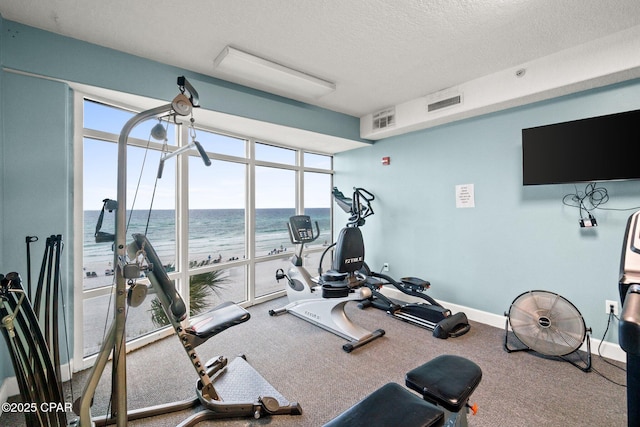 17545 Front Beach Rd Unit 1705, Panama City Beach, FL 32413 - workout area with expansive windows, plenty of natural light, baseboards, a textured ceiling, and carpet