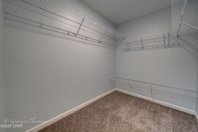 3549 Azalea Way, Panama City, FL 32405 - spacious closet featuring carpet