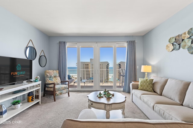 living area with carpet floors