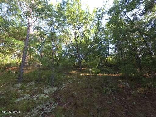 00 Payne Lake Rd, Chipley, FL 32428