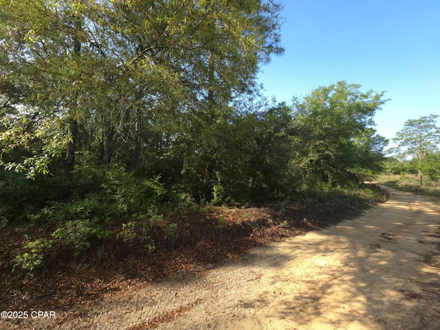 00 Payne Lake Rd, Chipley, FL 32428