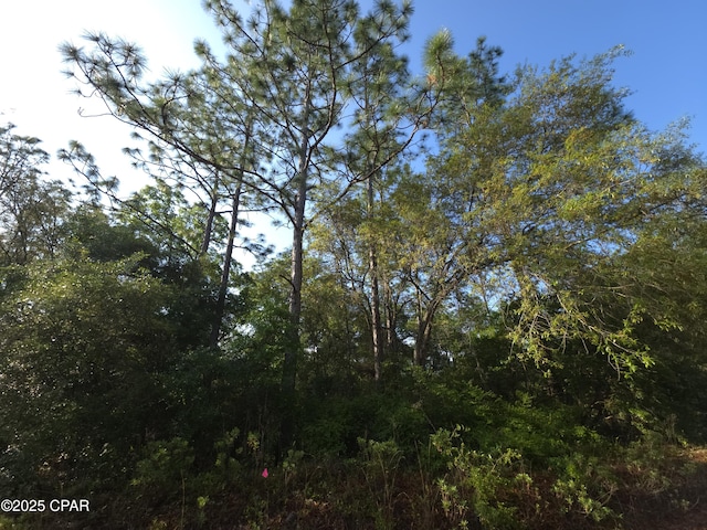 00 Payne Lake Rd, Chipley, FL 32428