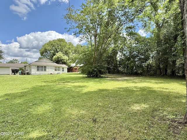 1331 Jackson Ave, Chipley, FL 32428 - view of grassy yard