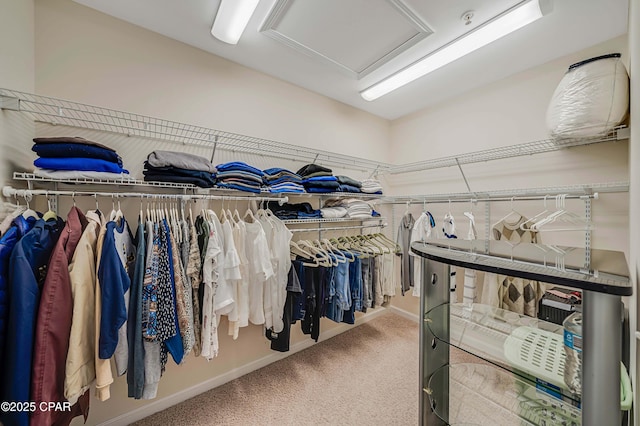 spacious closet featuring carpet floors and attic access