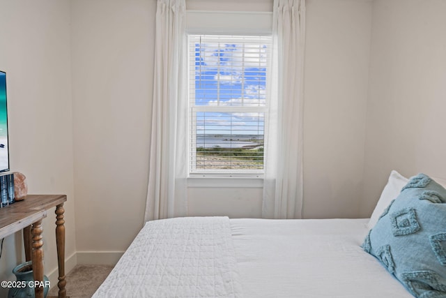 1009 N Discovery Loop, Panama City, FL 32405 - bedroom featuring carpet floors, multiple windows, and baseboards