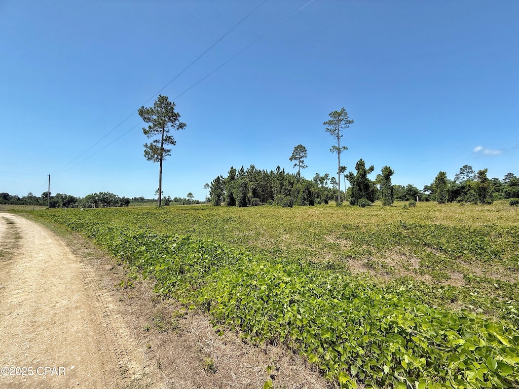 00 Solitaire Trl, Marianna, FL 32446